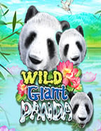 Egypt Bonanza รีวิว