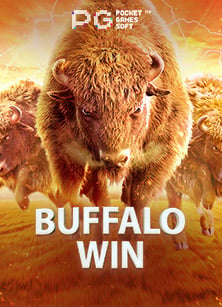 สนุกสุดเหวี่ยงกับทางเข้า sbo แทงบอล และสูตรลับสุดยอด